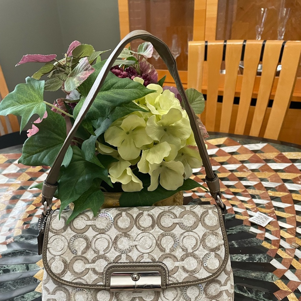 NWOT Coach mini monogram bag. - Picture 1 of 6